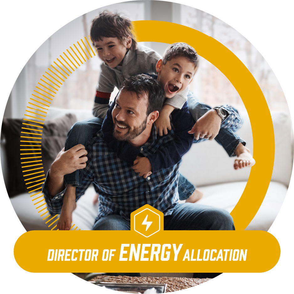 Director of Energy Allocation